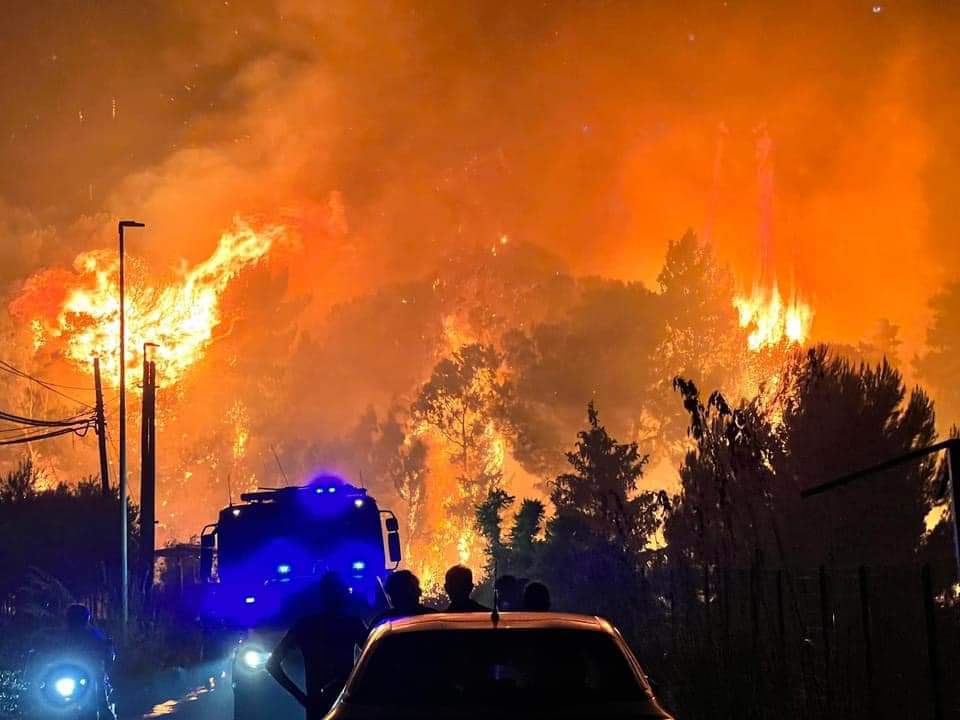 Fiamme, devastazioni e danni in Sicilia. CNA: subito gli aiuti per aziende e cittadini. La Regione istituisca un Tavolo per pianificare interventi di prevenzione